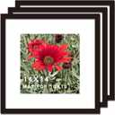 14x14 Picture Frame Black 3 Pack Solid Wood for Mat 10x10 Wall Mounting Square Poster Photo Frames