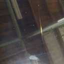 LG 48-Inch Class OLED evo C4 Series Smart TV 4K Processor Flat Screen with Magic Remote AI-Powered with Alexa Built-in (OLED48C4PUA, 2024), Black