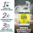 Natural Spider Repellent Spray, Peppermint & Lavender, Ready-to-Use, 128 oz (EXP 02/04/26)