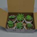 Der Rose Set of 6 Succulents Plants Artificial in Pots Small Fake Plants for Bedroom Aesthetic Living Room Office Shelf Bathroom Decor (Green)
