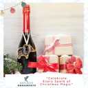 Thank You Gifts for Women, Sister, Friends, Coworkers - Friendship Elephant Ornament - Christmas, Birthday Gifts for Friends Sisters - Elephant Gift for Women - Acrylic Ornament & Card