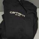 Carhartt Men's 106655 Force Relaxed Fit Lightweight Logo Graphic Sweat (Large Tall)