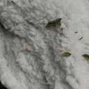 Electric Blanket Heated Throw, Soft Flannel 50"x60" Heating Blanket with 8 Hours Auto Off 10 Fast Heating Levels Machine Washable Sherpa Heated Blanket with Overheating Protection