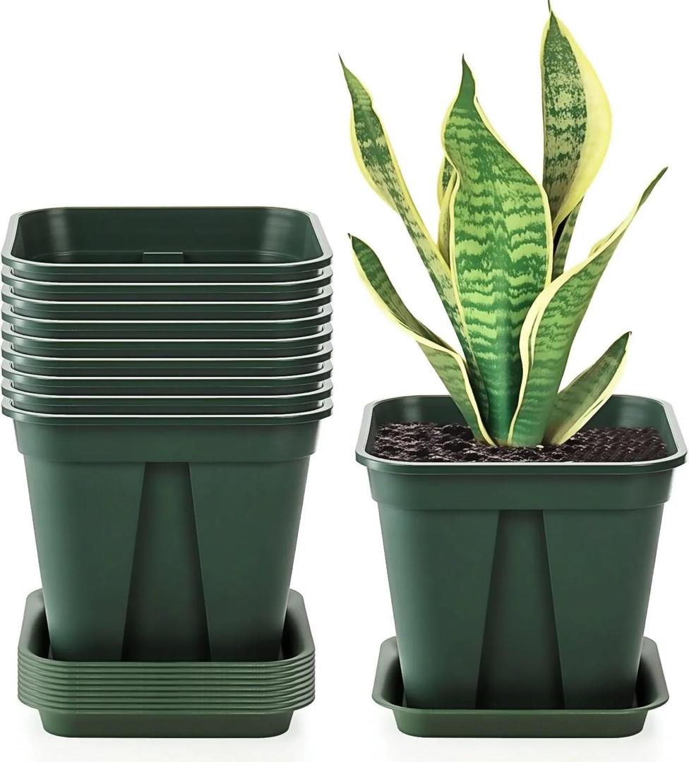 Fasmov 10 Pcs Square Nursery Pot 7 Inch Plastic Plant Pots with Drainage Hole Garden Flower Pots Nursery Plant Container, Flower Planters with Trays for Succulents Herbs Cactus, Green