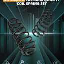 AUTOMUTO 2X Rear Suspension Coil Spring Set for 98-11 for Ford