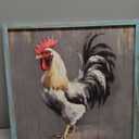 Rooster Wooden Wall Art Decor: Farm Cock Picture Country Animal Framed Artwork Rustic Farmhouse Chicken Painting for the Kitchen Living Room 16"x16"