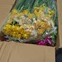 Hananona 24 Pcs Artificial Flowers Outdoor, Faux Artificial Plants UV Resistant Plastic Flower Bulk for Hanging Planter Porch Window Home Wedding Fall Summer Decor (24, Fuchsia, Purple, Yellow, Green)