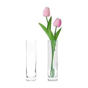 Clear Glass Cylinder Bud Vases,Small Clear Skinny Single Flower Vase for Centerpieces - Minimalist Bulk Vases for Wedding Birthday Bridal Shower Party Events Table Decor (2)