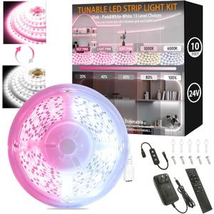 Pink & White LED Strip Light Kit for Bedroom, 10 Ft LED Lights Strip, 24V Dual Tunable Rope Light with Dimming & Color Temperature Adjustment for Living Room, Mirror, Home Lighting