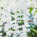 GPARK 12 Pack /45 inch /3.7ft Wisteria Artificial Flower Bushy Silk Vine Ratta Hanging Garland Hanging for Wedding Party Garden Outdoor Greenery Office Wall Decoration White