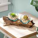 Cape Craftsmen Set of 2 Terrariums | Hand-Blown Blue Tinted Bubble Glass On Natural Teak Driftwood Terrarium | Home Dcor Indoor Planter with Stand | Pot for Succulent and Plants