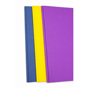 2 Pocket Folders with 3 Prongs - Assorted Colors, 3 Pack