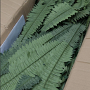 MARTINE MALL 2Pcs 48''/128 Leaves Artificial Ferns for Outdoors Look Real Fake Ferns, Large Faux Boston Ferns for Outdoor Planter Realistic UV Resistant Artificial Fake Plants for Porch Patio Hanging