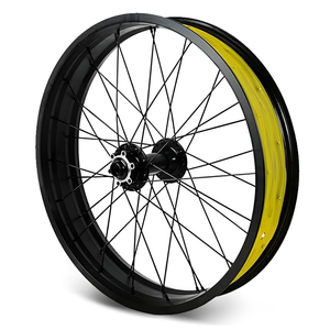 20/26 x 4.0 Inch Fat Tire Front Bike Wheels, Aluminum Alloy Rims