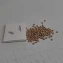200-Piece Hardwood Mushroom Caps - 5/16 Inch Wooden Button Plugs for Locking Holes
