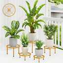 5 Pack Metal Potted Plant Stands,Flower Pot Stand Holder,Heavy Duty Plant Shelf for Multiple Plant,Rustproof Planter Container Round Supports Display Rack for Home(GoldCircle)