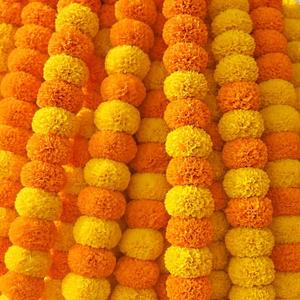 Marigold Garlands for Decorations Pack of 5 - Artificial Marigold Flowers for Decorations -Indian Decor for Pooja, Indian Flower Garland (Yellow Orange Combination | 4 to 4.5 Ft) Hashcart