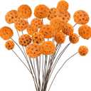 24 PCS Dried Craspedia Billy Balls Flowers, 18 Natural Dried Flowers Bouquet for Vase Floral Arrangements Wedding Table Centerpieces Party DIY Home Decor (Orange) (24 Pcs, Orange)