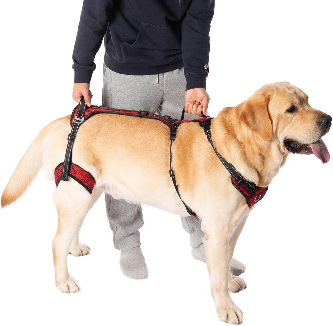 COODEO Mobility Dog Lift Harness, Support Sling for Dog, Dog Walking Sling, Pet Rear Leg Support Rehabilitation Lifts Vest, Dog Carrier for Senior Dogs with Arthritis, Up Stair (Red, M)
