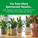 Miracle-Gro Indoor Potting Mix, Blended for a Variety of Houseplants, Feeds for up to 6 Months, 16 qt., 2-Pack
