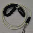 Colaseeme Light Up Dog Leash, LED Pet Leashes USB Rechargeable, Glow Safety Dogs Lights at Night (4FT,Green)