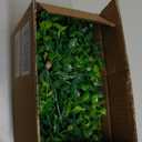 Dolicer 2 Packs Eucalyptus Garland with LED Lights String, 12FT Faux Eucalyptus Greenery Garland, Artificial Hanging Green Leaves Vine Wedding Backdrop Arch Wall Table Decor (Green)