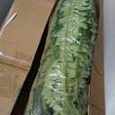 Dkaltm Single Silky Artificial Boston Fern Bush, 49Inch Large Artificial Ferns for Outdoors, Large Faux Ferns Artificial Plants,Suitable for Decorating Office, Living Room Faux Greenery,95Branches