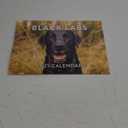 Black Lab Calendar 2025 Labrador Monthly Wall Calender 12 Month | American Made In The USA