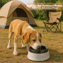 25oz Spill-Proof Dog Water Bowl – Slow Drink, No-Splash Pet Feeder for Small/Medium Dogs, Cats, Puppies & Kittens, Non-Slip Portable Bowl for Car, Travel, Home – Grey