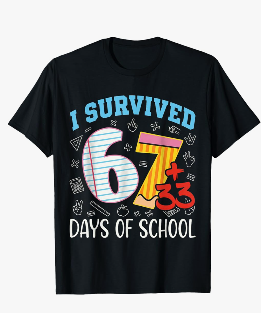 67 i Survived 100 Days of School 6 7 100th Days Kid Students T-Shirt, Size: L