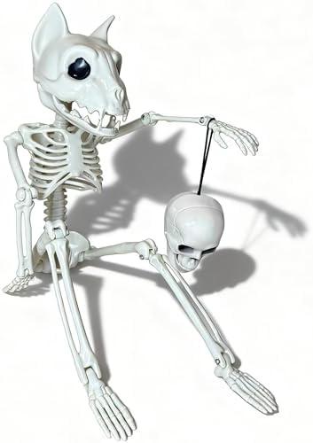 GUSYXO 16 Inch Cute Horror Party Decorations Indoor Outdoor Haunted House Props Poseable Hybrid Small Skeletons Decor: Funny Skull for White Elephant Gifts