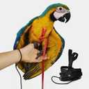 Adjustable Bird Harness with 78.7 Inch Leash, Outdoor Flying Training Rope Kit for Bird Parrots, Parrot Flying Rope Straps Outdoor Training Traction Rope for Small Medium Large Size Birds (M)