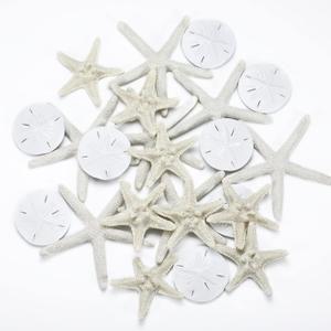 Jetec 24 Pcs Starfish Assorted Decor 3.14 Inch Starfish for Crafts Star Fish Shells Decorations Sand Dollar Ornament White Resin Star Fish Decorations for Wedding Beach Party Decor DIY Craft Supplies Jetec 24 Pcs Starfish Assorted Decor 3.14 Inch Starfish for Crafts Star Fish Shells Decorations Sand Dollar Ornament White Resin Star Fish Decorations for Wedding Beach Party Decor DIY Craft Supplies