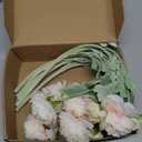 Htmeing 6PCS Artificial Ranunculus Flowers with Real Touch Stem Silk Ranunculus Flowers for Household Arrangement (Pink)