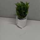 Coferset Small Fake Plant Fern Potted Artificial Plants for Shelf Desk Home Bathroom Farmhouse Room Office Kitchen Farmhouse Coffee Table Decor (Green)