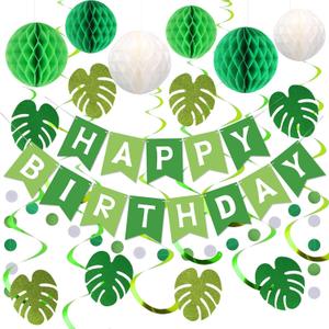 Meowtastic Green Birthday Decorations - Happy Banner with Honeycomb Balls, Palm Leaves Hanging Swirl Streamers, Circle Dot Garland - Party Decoration for Boy Girl