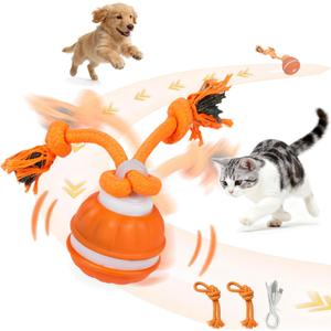 Interactive Dog & Cat Toys for Small Dogs and Indoor Cats - Automatic Moving Ball with Chirping Sound, Motion Activated Self Play Toy to Entertain Bored Pets, Easter Basket Essentials (1 Orange)