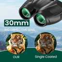 12x30 Compact Binoculars for Adults, High Power Lightweight Small Binoculars with Phone Adapter for Cruise Ship Hiking Bird Watching Sports Safari Viewing Football Sports Concert