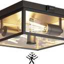 Outdoor Ceiling Light with Motion Sensor, Flush Mount Porch Light, Exterior Light Fixture with Clear Glass, Dusk to Dawn 2-Light Fixture for Patio,Porch (10.5 in)
