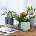 Soilagua 13 oz Up to 2 Weeks Extra Large Plant Self Watering Globes, Light Iridescent Glass Water Bulb Indoor, Plant Waterer Self-Watering Stakes, Perfect Gardening Gifts, 4 Pack
