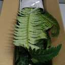 Fake Fern Potted Plant Artificial Boston Ferns in Pot 35 Leaves for Outdoors & Indoor Faux Fern Bush Plant 20inch for Patio Garden Farmhouse Windowsill Office Living Room Decoration Home Decor (Large)