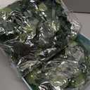 Dolicer 2 Packs 6FT Artificial Eucalyptus Garland with LED Light String, Faux Greenery Garland Hanging Fake Silver Dollar Eucalyptus Leaves Vines for Wedding Backdrop Arch Table Wall Party Home Decor