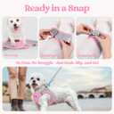 rabbitgoo Dog Harness Small Sized and Leash Set, Step in Soft Light Puppy Vest, Breathable Mesh Pet Harness, Reflective for Safe Easy Walking, Pink & Gray XS