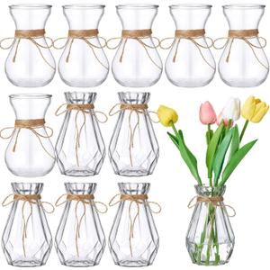 Lallisa 12 Pieces Small Glass Bud Vases for Wedding Centerpieces Clear Mini Hyacinth Bulk Flower Vases with Rope Plant Containers for Wedding Plant Home Table Decorations(Classic Style)