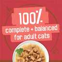 Purina Friskies Extra Gravy Wet Cat Food Chunky With Beef in Savory Gravy - (Pack of 24) 5.5 oz. Cans (EXP 03/01/27)