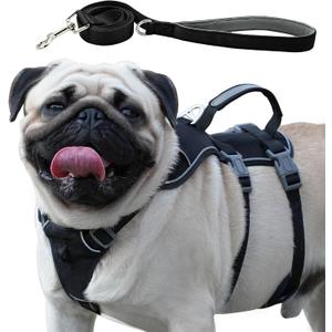 Escape Proof Dog Harness and Leash Set, Lightweight Dog Harness with Lift and Assist Handle, No Pull Reflective Pet Vest for Small Medium Dogs, Ideal for Puppy Walking and Training (Black, XS)