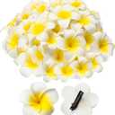 Crowye 100 Pcs White Foam Hawaiian Plumeria Flower Clips Bulk 3 Sizes Artificial Frangipani Petals Cap Wreath Floral DIY Craft for Home Luau Party Decorations Beach Wedding Guests