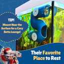 Betta Fish Tunnel Hideout Blue | Aquarium Cave & Tunnel Decor for Betta Fish, Shrimp & Small Fish | Fish Tank Decoration, Betta Tank Accessory & Enrichment Toy