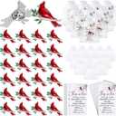 Jexine 240 Pcs Cardinal Pin Sets Funeral Favors Bulk Celebration of Life Favors Include 80 Cardinal Pins, 80 Memorial Cards, 80 Gift Bags Those We Love Do Not Go Away Funeral Gifts for Guests(Classic)