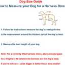 Leconpet Mesh Harness Vest for Small and Medium Dogs, Breathable, Comfortable, Elegant Style, Blue, XS